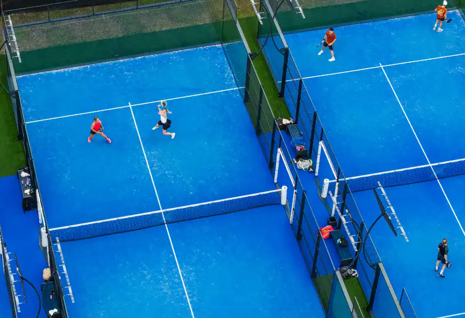 Committee Application